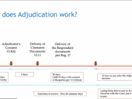 how does adjudication work